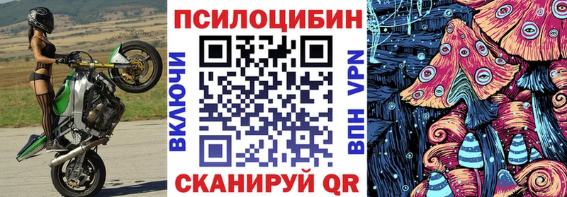 как найти наркотики  это наркотические препараты  мега как войти  Галлюциногенные грибы мицелий  Астрахань 
