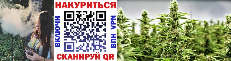 цены   Астрахань  Канабис индика 